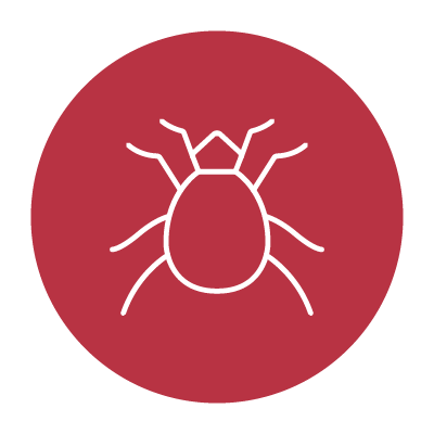 Parasite Icon | Veterinarian in Decatur, IN