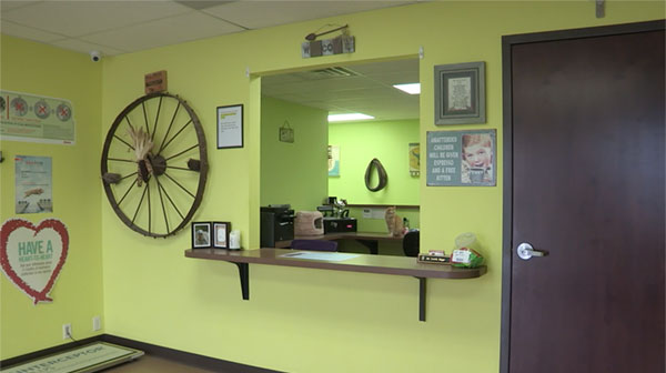 Vet Care in Decatur, IN | Red Barn Veterinary Care